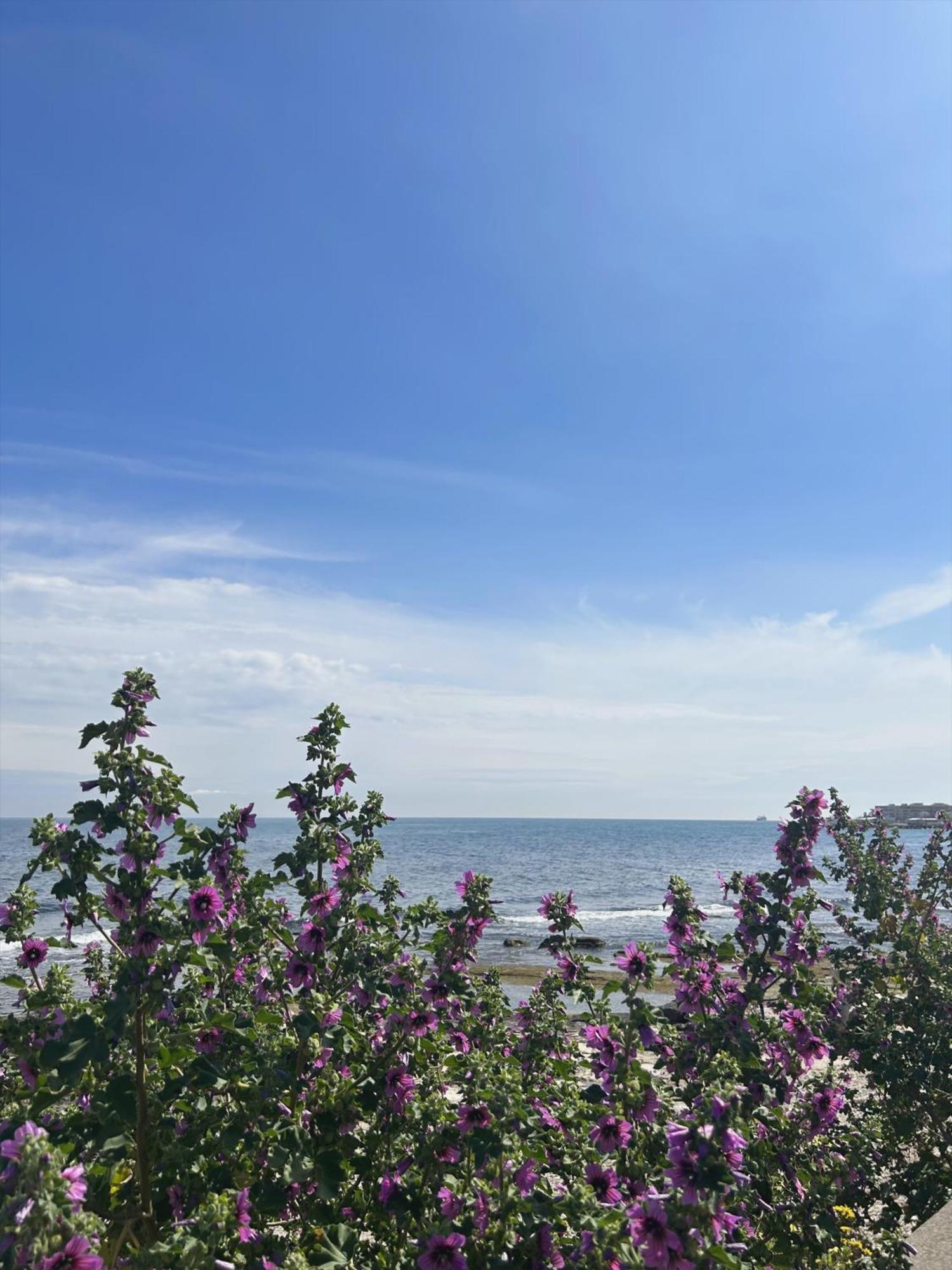 Bed and Breakfast Orchidea Bari Zewnętrze zdjęcie